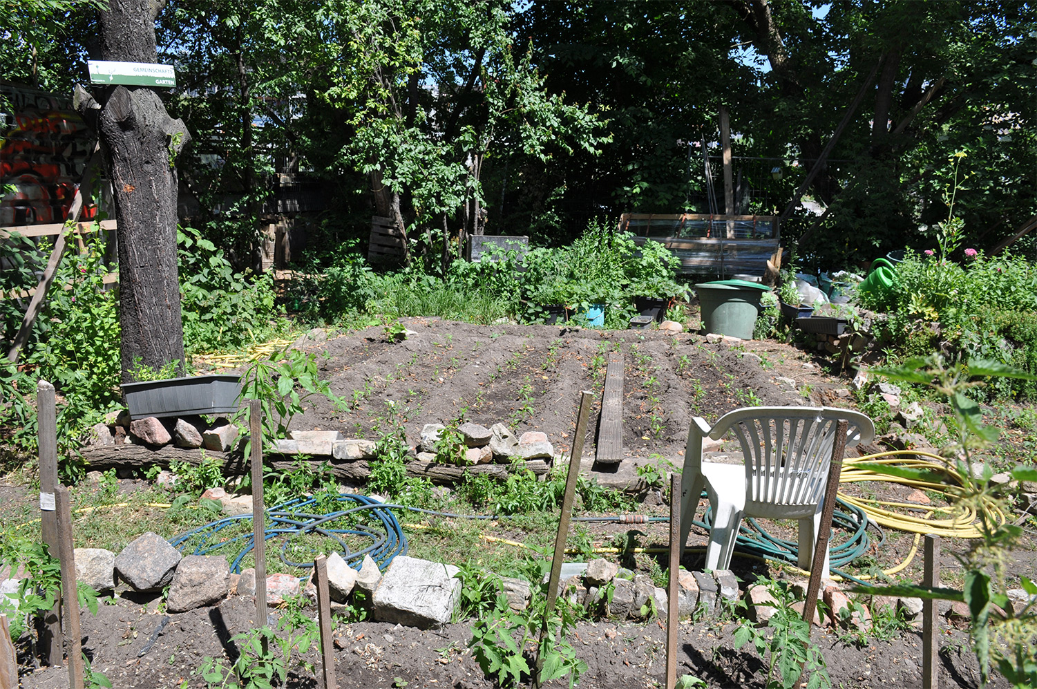 Community gardens